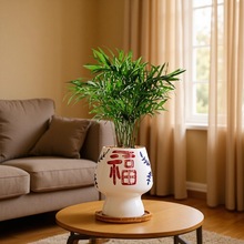 袖珍椰子盆栽室内花卉绿植客厅桌面护眼植物好养净化空气四季常青