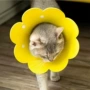 伊丽莎白无纺布头套太阳花圈