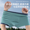 [customized] 60 Combed man Underwear Solid Middle-waisted ventilation 3A Antibacterial Underwear wholesale