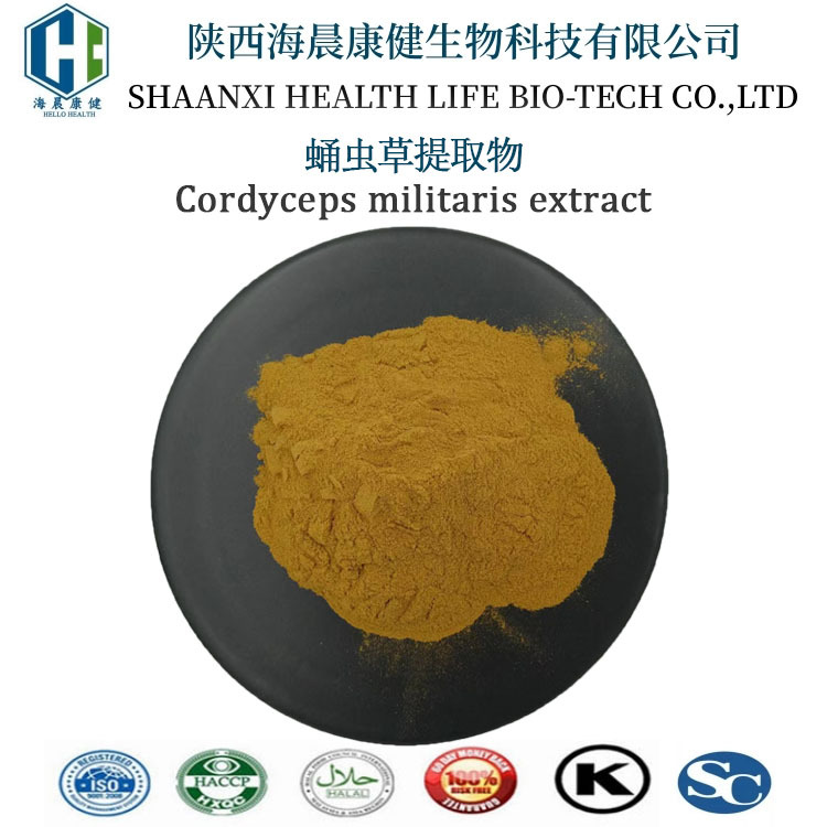 蛹虫草提取物 虫草多糖30%食品级蛹虫草多糖厂家资质齐全海晨康健