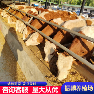 �����Sţ���T����ţ���Bֳ����ţ����ţ�� ����ĸţ