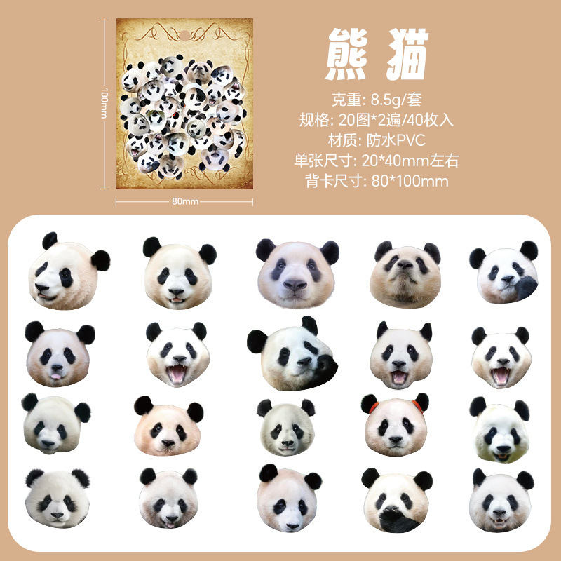 Cartoon animal avatar pegatinas bolsas diy diario diario decoración material graffiti transparente pegatinas pet impermeable