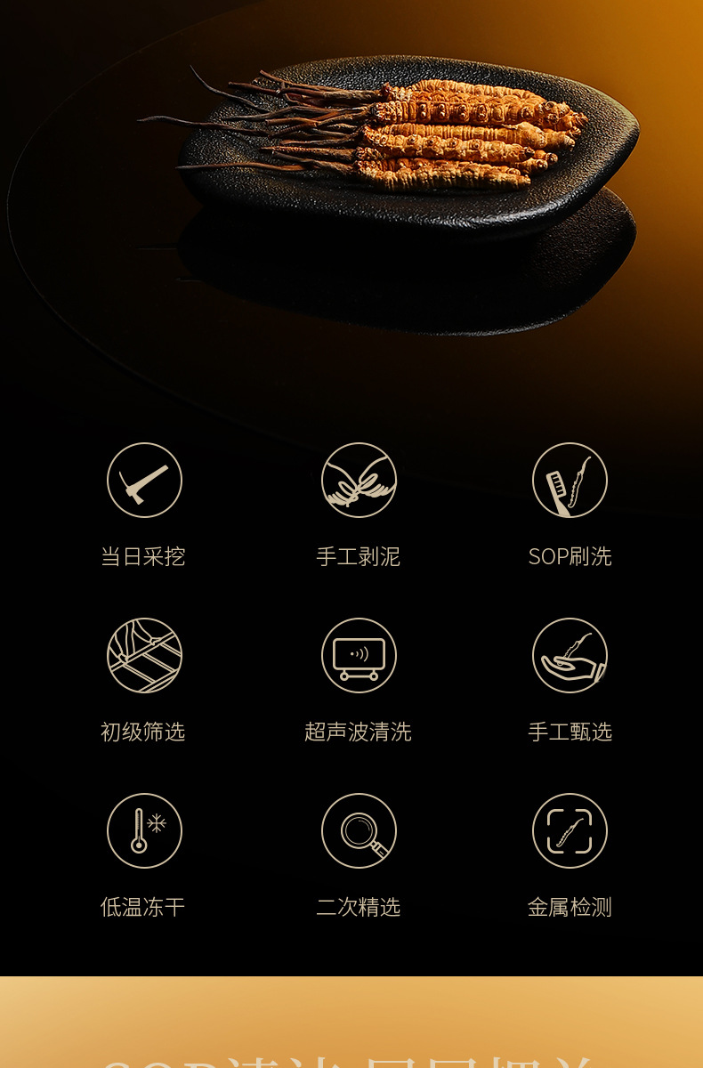 Premium Cordyceps Gift Box Dong Chong Xia Cao 5g Wild-Harvested Qinghai Origin Whole Stems specifications