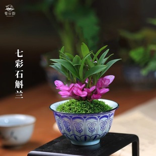 �߲���ˮʯ���m�����҃Ȼ����ļ��_���d�ӻ��k����ֲ������С�辰