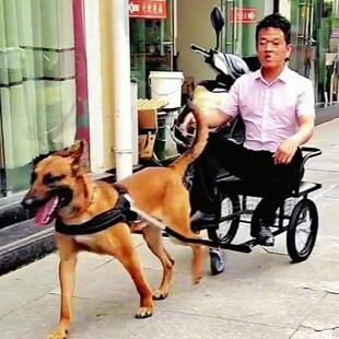 80��120��Ȯ�޹���݆܇����˹�ӵ������e������F�ɪ{��Ȯ