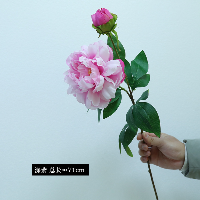 6 # 진한 보라색