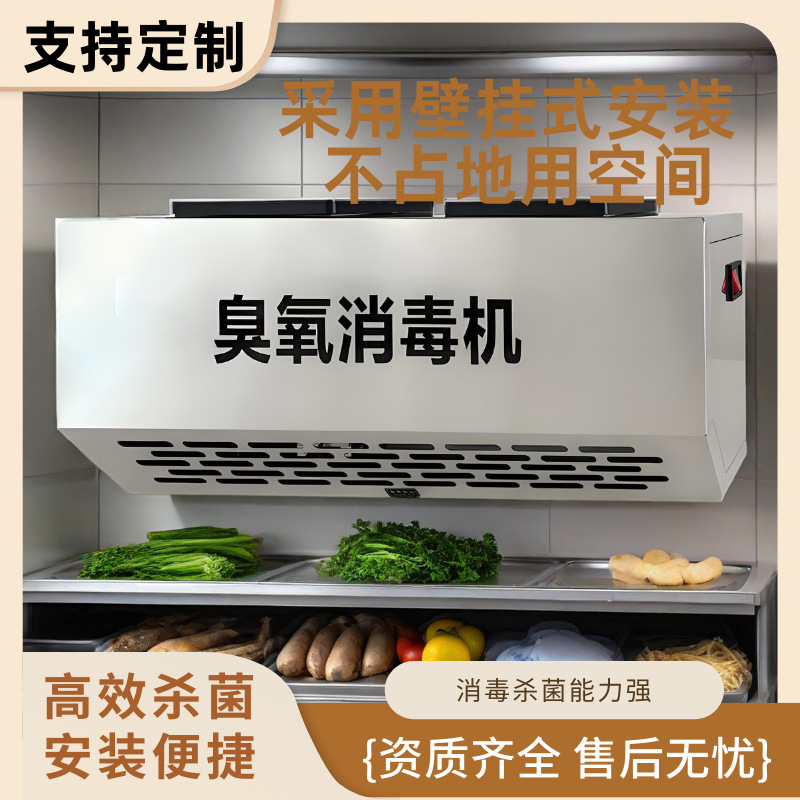 臭氧发生器壁挂式垃圾房除臭杀菌空气净化食品厂车间臭氧消毒机器