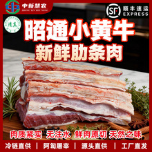 �����ͨС�Sţ�����ţ���ײ����l���r����u�ϴ���ʳ��ţ��