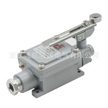 �����г̿���DLXK������λ����LX5--Z��L��B��D��H��N�ͷ�������