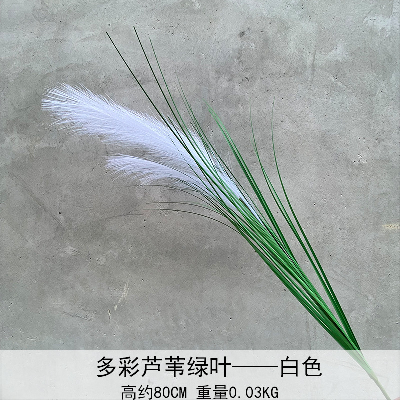 Caña hierba simulación de flores Cai Guoqiang Fuegos artificiales Caña Fuegos artificiales diurnos Fuegos artificiales diurnos Caña Fuegos artificiales