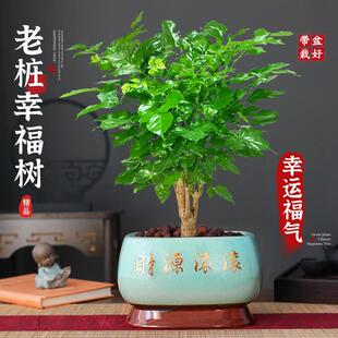 �Ř��Ҹ����ؼ������҃ȾGֲ�����Ϙ��͏d�G��������ļ�������B