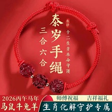 2026�R������������ɰ�ִ�������̫�q���t�K������K����ţ����