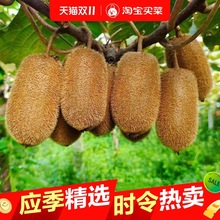 贵州修文猕猴桃 贵长猕猴桃 绿心奇异果 高维C应季新鲜水果特级