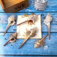 ��Ȼ����ؐ���L����Ů�׹����Ĕz���ߵ�̨�쾰���к��L���b[��