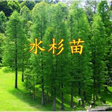 ˮɼ��ˮɼ���� �ɼ��ɼС�� ����ɼ��ɽɼ���� ͥԺ�G�����^��