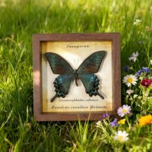 �����˱����ҾӔ[̨����Ů�������նY���ֹ�DIY���x�˱��b�