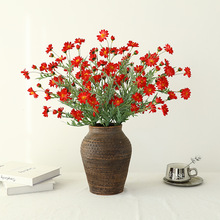 �L֦���������Ұ�շ��滨�ٻ��Ҿӻ�c�b[���߼��г�Ʒ�����l