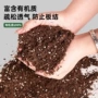 养花多肉种植通用型花土