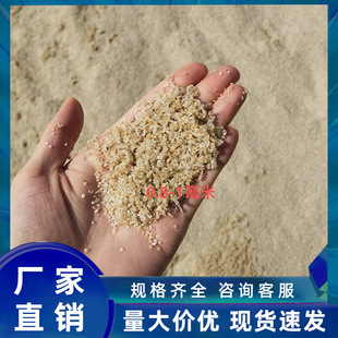 ��ɰ���l�V��ˮ̎��ʯӢɰ��ͯ�ʘ��������Sɰ�@��䁵؟o�m��ɳ