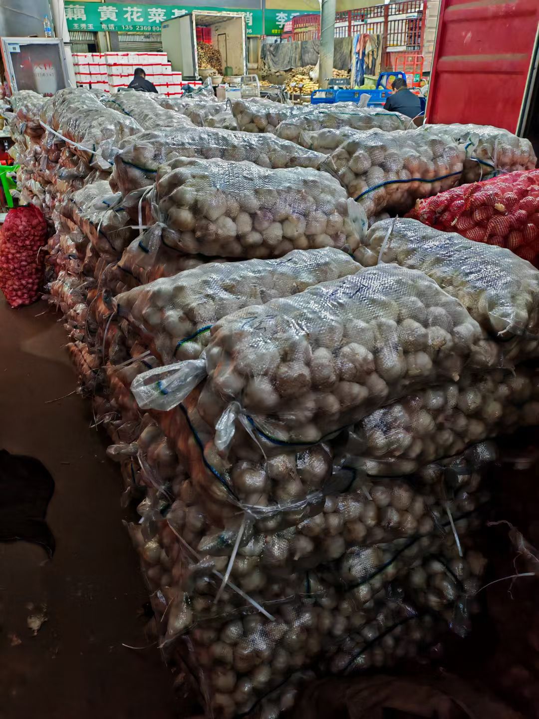 微信图片_20251107112339_58_567