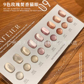 9色玫瑰焚香猫眼甲油胶小套系2024年新款猫眼美甲店用光疗胶套装