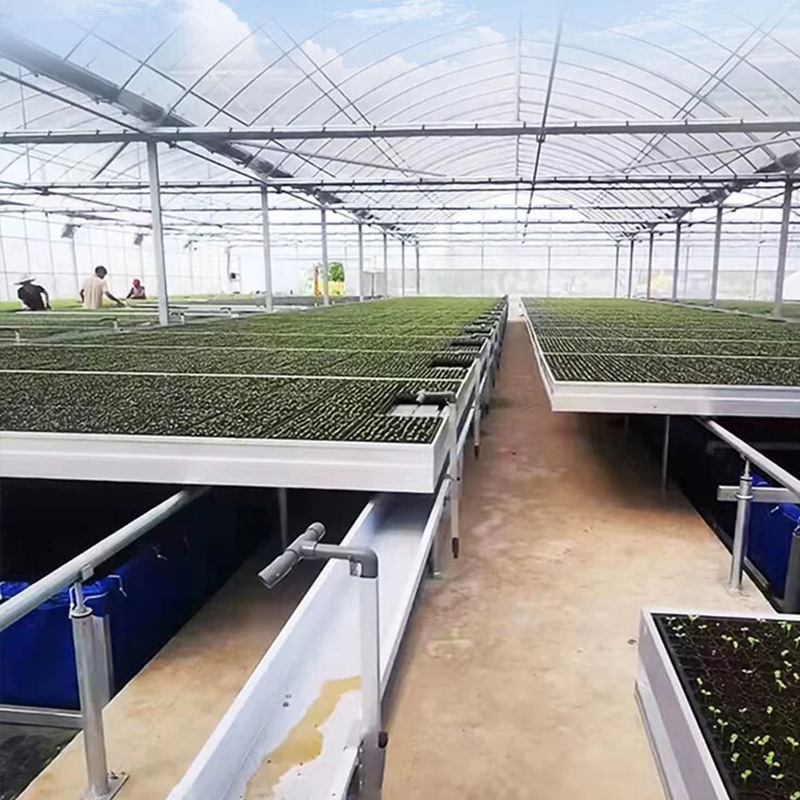 潮汐トレー農業栽培槽ブリスター加工野菜育苗盤温室ハウスプラスチック盤カスタム|undefined