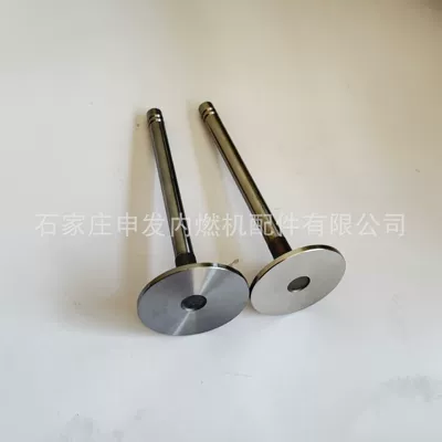 6150424110, exhaust valve – Valves and components