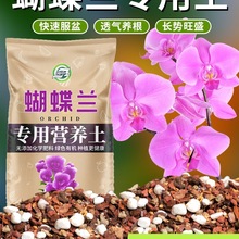 蝴蝶兰土兰花水苔植料养蝴蝶兰盆栽种植颗粒松树皮营养土