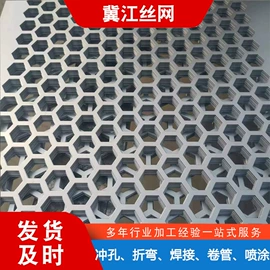 金属板网;干燥设备配件;不锈钢网