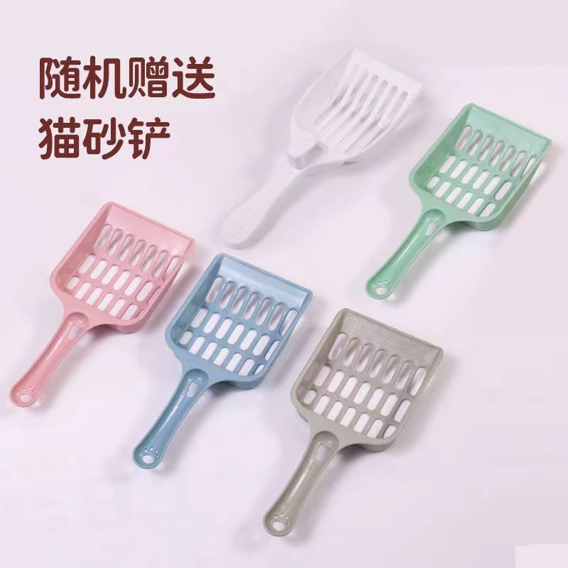 개별 고양이 쓰레기 국자---독창적인 선택