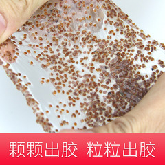 美容院專用海藻面膜大顆粒500g補水保濕海藻泥孕婦睡眠泰國