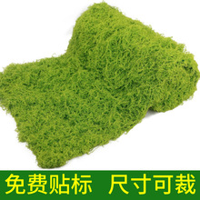 ����̦�\�쾰������Ƥ����̦΢���^���ò�ƺ�辰��������쾰�b�