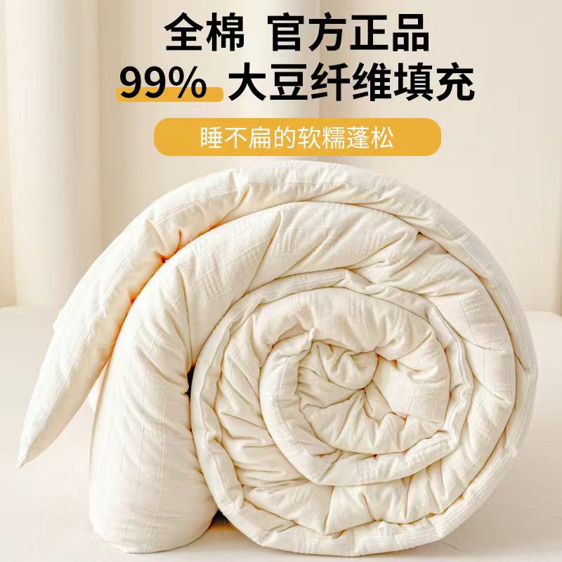 Class a 99% Cotton Soy Fiber Quilt Core Spring & Fall Quilt Thickeneded Warm Winter Quilt Universal Quilt for All Seasons