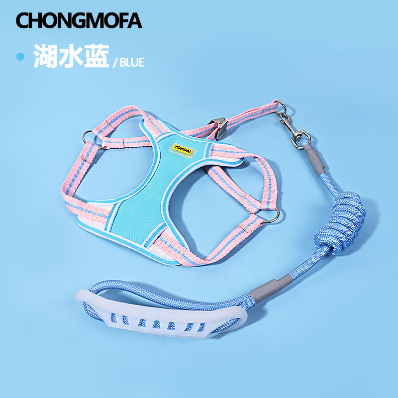 Color block striped harness - blue / S size small - recommended for wearing 1.5-3kg