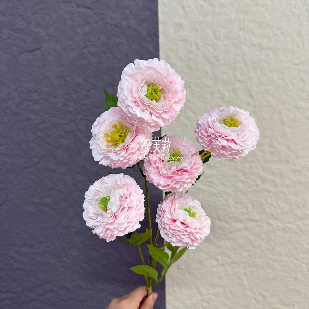 6헤드 크림 로터스-라이트 핑크