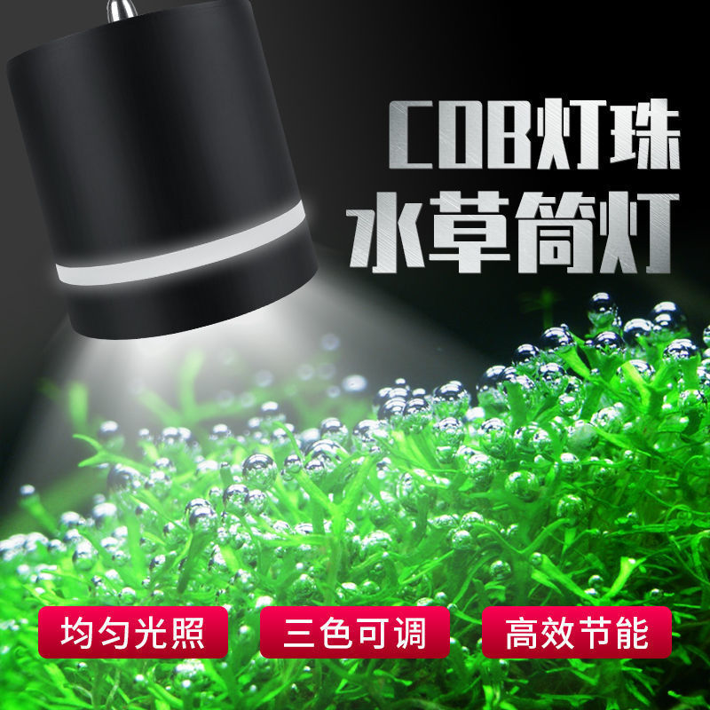 Wholesale magic lamp full spectrum LED fish tank downlight goldfish lamp special explosion algae color enhancement water grass lamp Lanshou lamp magic lamp Wholesale magic lamp full spectrum LED fish tank downlight goldfish lamp special explosion algae color enhancement water grass lamp Lanshou lamp magic lamp