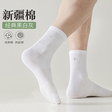 ���Q�½�����ʿ���m2026�¿����챡����������\����������Ͳ�m��