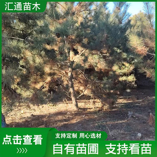 �������;��^��ͥԺ�Ƶ�G�����ͺ��Ɉ@���쾰�����������ɬF؛