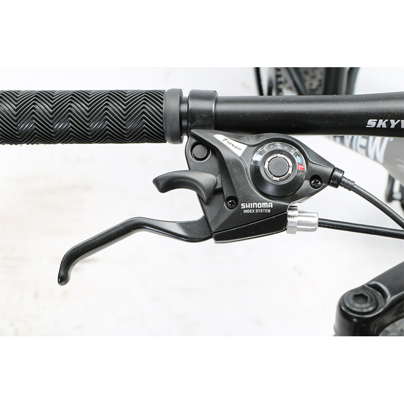 20 pulgadas de litio eléctrico nieve bicicleta al aire libre velocidad variable estudiante carretera montar a caballo alta calidad suministro