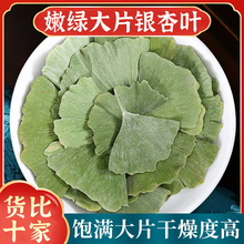 ry~ș500gy~Ʒ؛y~؛Ƭݲ