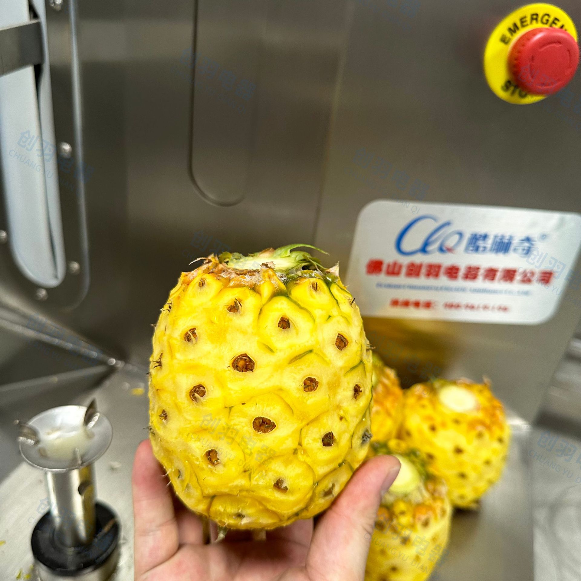 Y气动泰国小菠萝削皮机 电动荔浦芋头刨皮机 老椰子椰皇去皮机