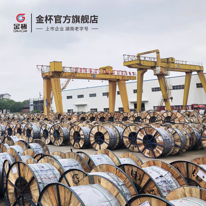 金杯电缆YZ2 3 4 5芯*0.75/1/1.5/2.5/4/6平 橡皮橡胶线铜芯软线