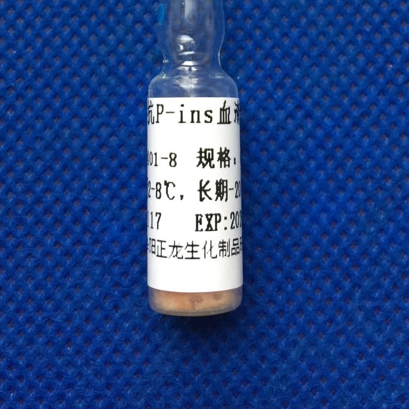 �࿹P-InsѪ��-0.1ML