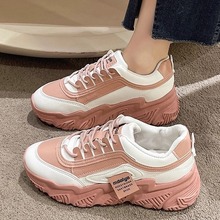 ϵЬŮЬ2025¿ٴe\ŮЬinsСЬ