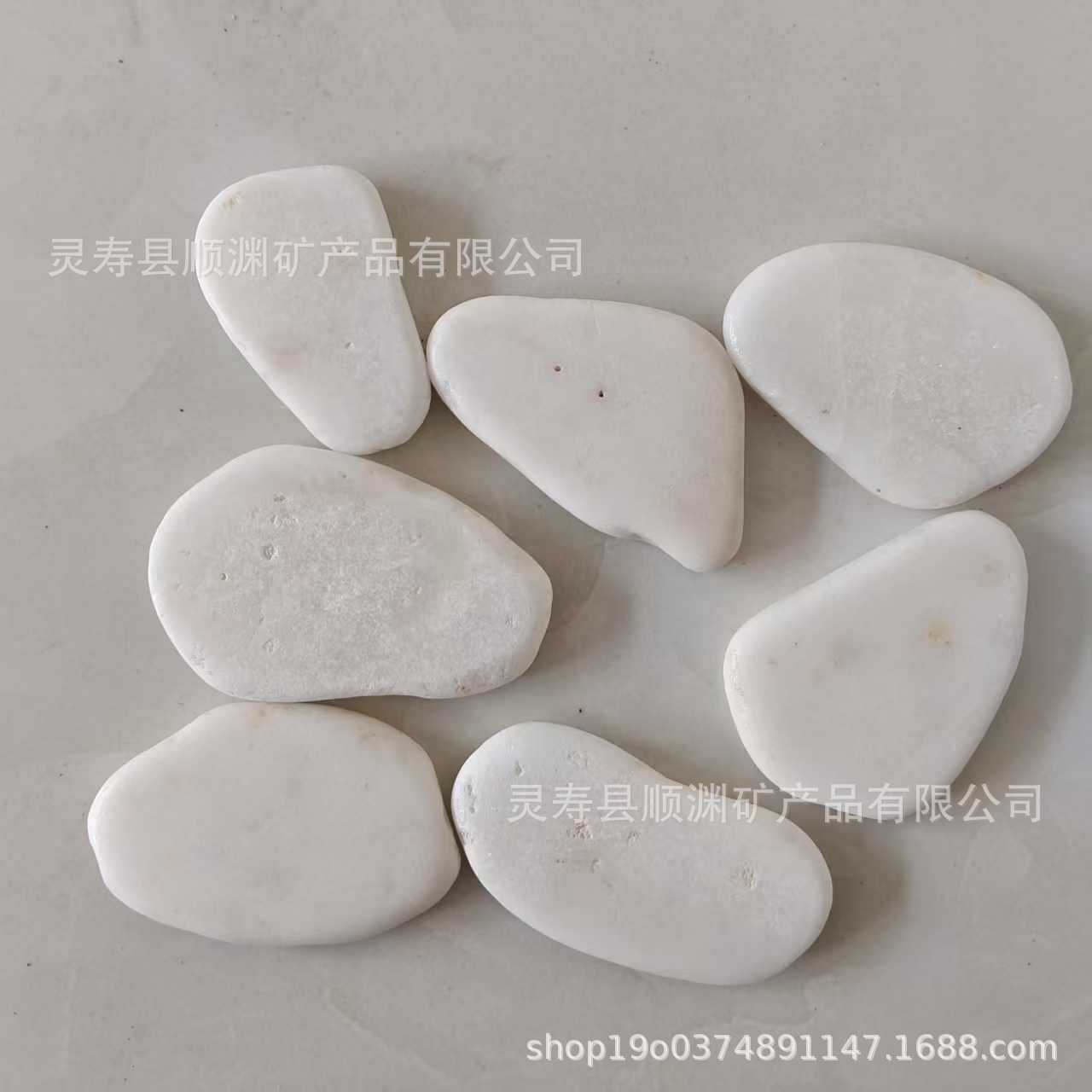 微信图片_20250423083812