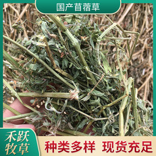 ���a��ޣ�����F؛�����ϻ���ޣ�� ţ�R��������������