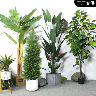 Sƿ羳ֲԷGֲϙ؟NRdֲ