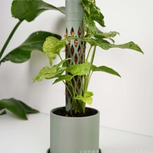 �羳�¿� ̦�\�����bMoss pillar set