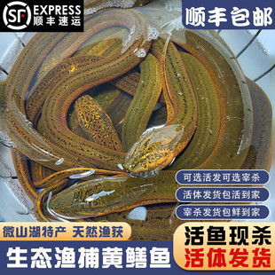 ʮ���΢ɽ���S�X�~ԭ���B���r�r����X�~���w�L�~�F��ȥ���XƬ�X