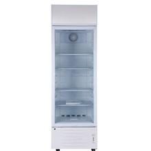 DC12v/24v太阳能展示柜冷柜冰箱冷藏柜外贸出口节能环保商用家用